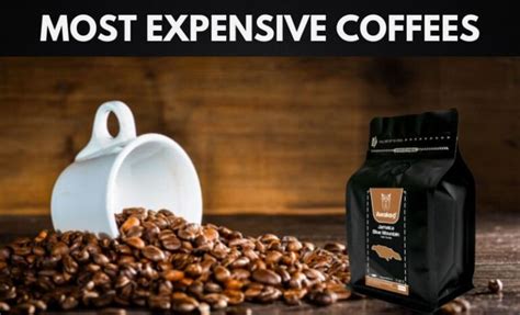 The Most Expensive Coffee in The World is Made .